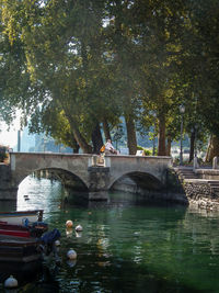 People in boat on bridge over trees