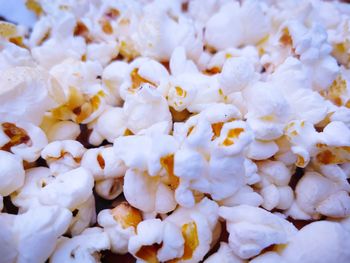 Full frame shot of white flowers