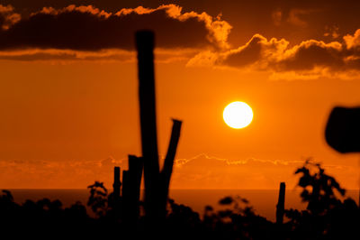 Scenic view of sunset