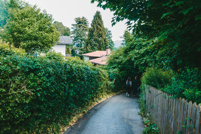 Trees growing outdoors