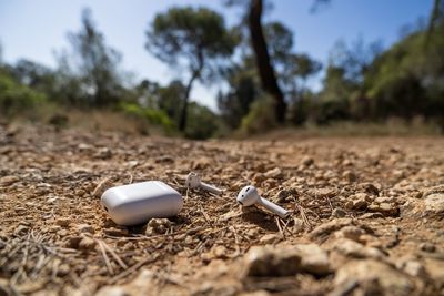 Close up of lost wireless headphones in nature