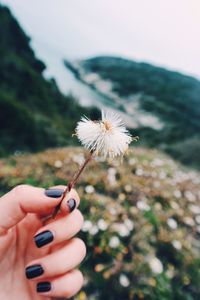 Close-up of hand holding dandelion against sky