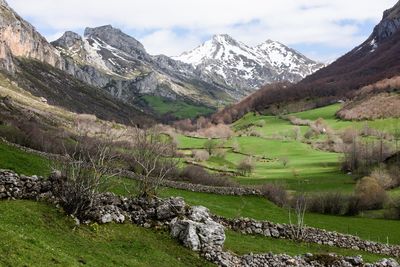 Scenic view of mountains