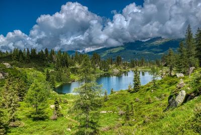 Scenic view of lake by trees against sky