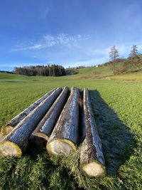 Wooden log on field against sky