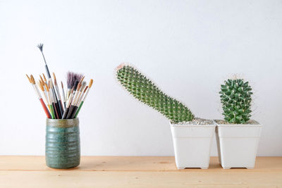 Close-up of potted plant on table against wall