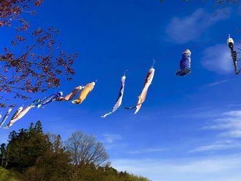 Low angle view of plants hanging on tree against blue sky