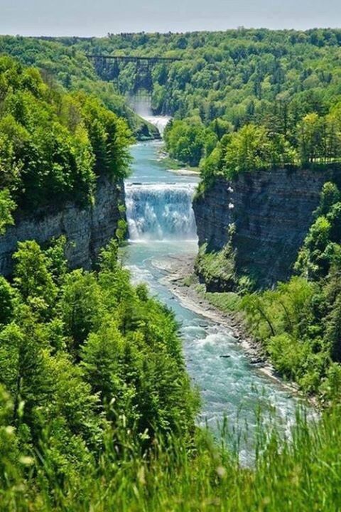 water, beauty in nature, scenics, green color, nature, tranquil scene, tree, tranquility, growth, plant, river, stream, flowing water, flowing, idyllic, lush foliage, motion, landscape, waterfall, grass