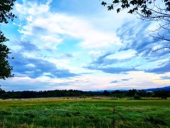 Scenic view of grassy field against cloudy sky