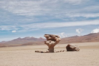 Scenic view of desert against sky