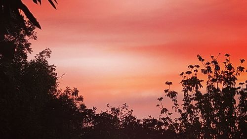 Low angle view of silhouette trees against dramatic sky