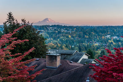 Red autumn leaves and mount rainier.