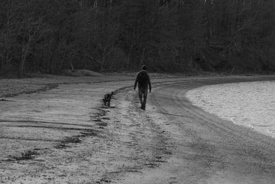 People walking on road