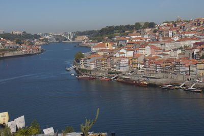 Boats in harbor with buildings in background