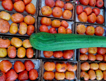 High angle view of sponge gourd over tomatoes at market stall