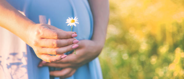 Midsection of pregnant woman holding flower