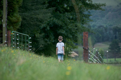 Rear view of boy walking on grassy field