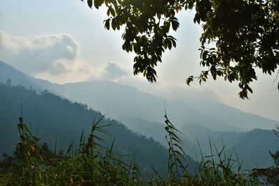 Scenic view of tree mountains against sky