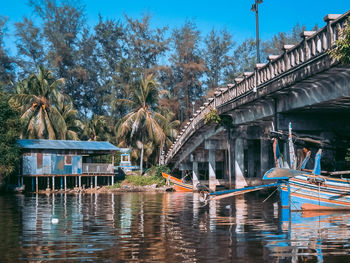 Boats on bridge by trees against sky