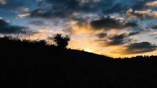 Silhouette of trees against dramatic sky