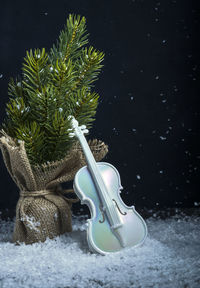 Close-up of snow on tree in field
