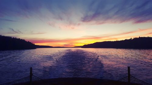 Silhouette of trees at sunset