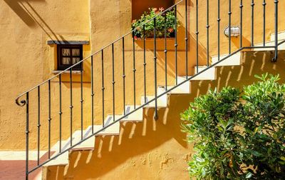 Potted plants on staircase of building