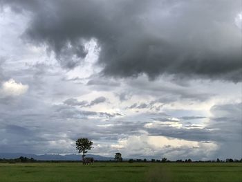 Scenic view of field against cloudy sky
