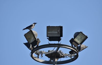 Low angle view of seagull perching on metal against sky