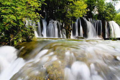 Scenic view of waterfall in forest