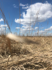 Scenic view of land against sky
