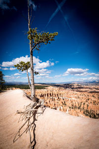 Scenic view of desert against sky