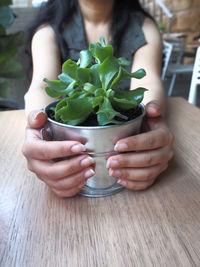 Cropped image of hand holding drink