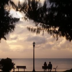 Silhouette palm trees by sea against sky during sunset