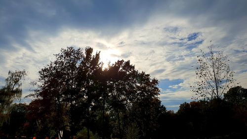 Low angle view of silhouette trees against sky at sunset