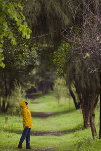 Rear view of man standing on field