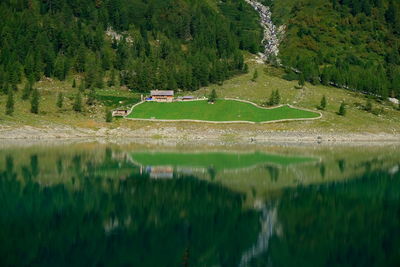 Scenic view of lake by trees