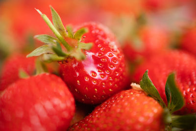 Close-up of strawberries