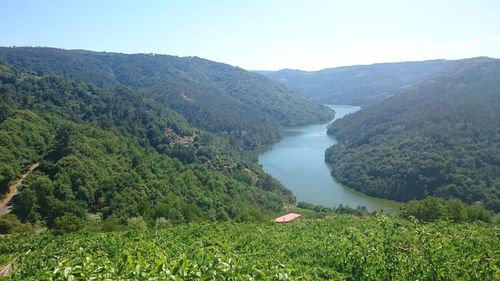 Scenic view of lake