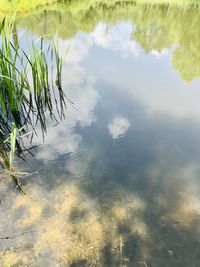 Reflection of clouds in lake