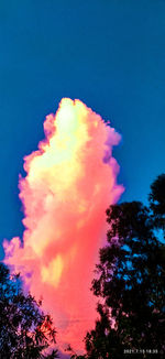 Low angle view of pink tree against blue sky