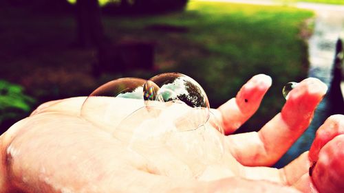 Close-up of hand holding small