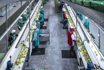 Women working in apple factory
