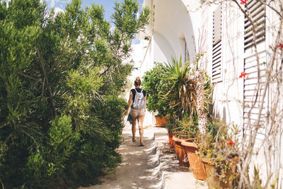 Rear view of woman walking on palm trees