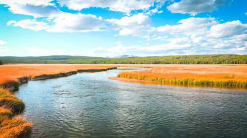 Scenic view of agricultural field against sky,yellowstone wyoming