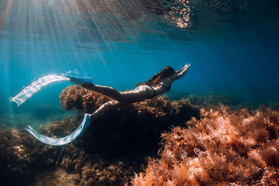 High angle view of man swimming in sea