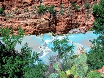 Scenic view of rock formation amidst trees