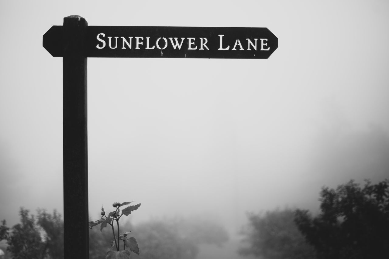 western script, text, communication, sky, tree, low angle view, sign, no people, day, information, plant, nature, focus on foreground, guidance, outdoors, information sign, capital letter, fog, arrow symbol, close-up