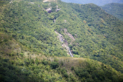 High angle view of trees on landscape