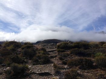 Scenic view of landscape against sky